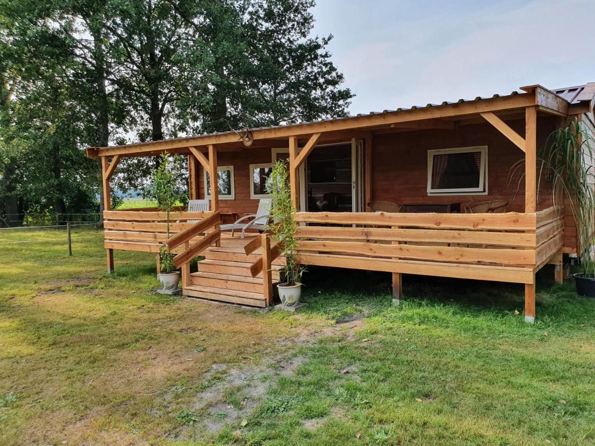 Tiny House Het Reebokje Διαμέρισμα Vriescheloo Εξωτερικό φωτογραφία
