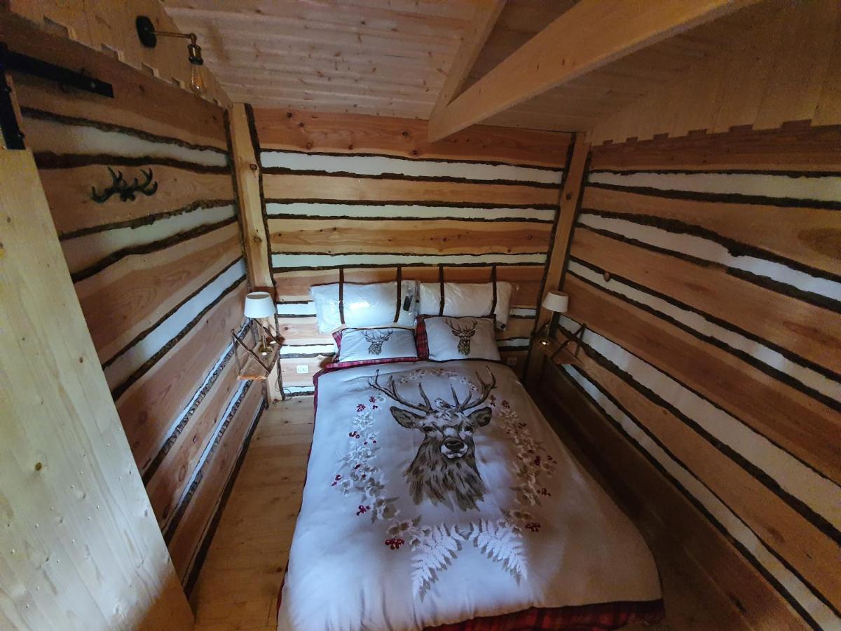 Tiny House Het Reebokje Διαμέρισμα Vriescheloo Εξωτερικό φωτογραφία