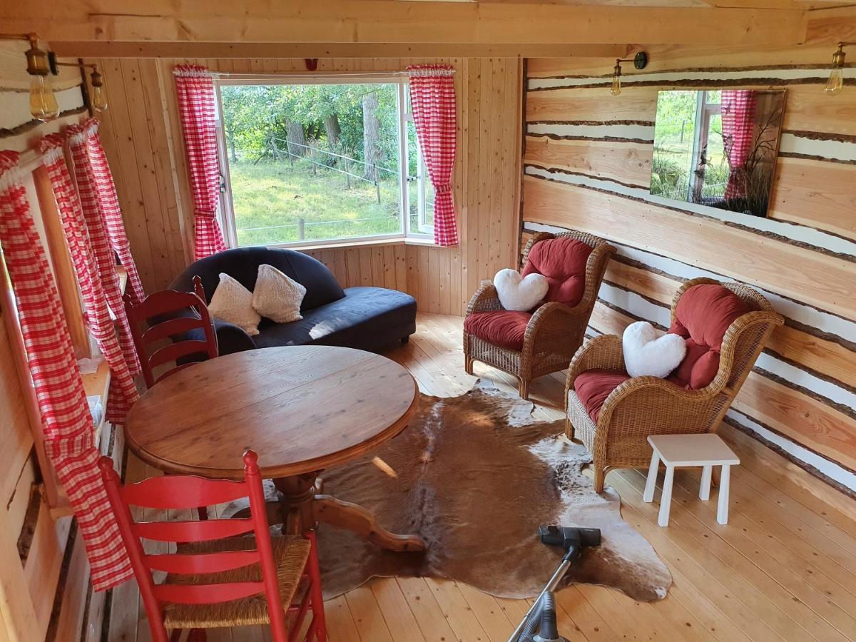 Tiny House Het Reebokje Διαμέρισμα Vriescheloo Εξωτερικό φωτογραφία
