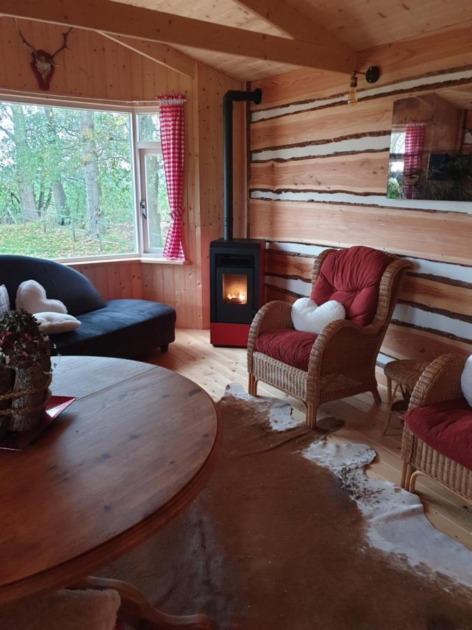 Tiny House Het Reebokje Διαμέρισμα Vriescheloo Εξωτερικό φωτογραφία