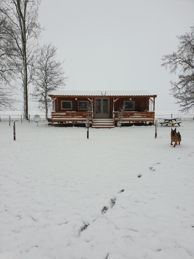Tiny House Het Reebokje Διαμέρισμα Vriescheloo Εξωτερικό φωτογραφία