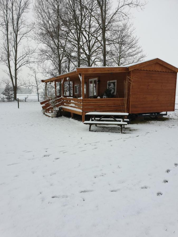 Tiny House Het Reebokje Διαμέρισμα Vriescheloo Εξωτερικό φωτογραφία