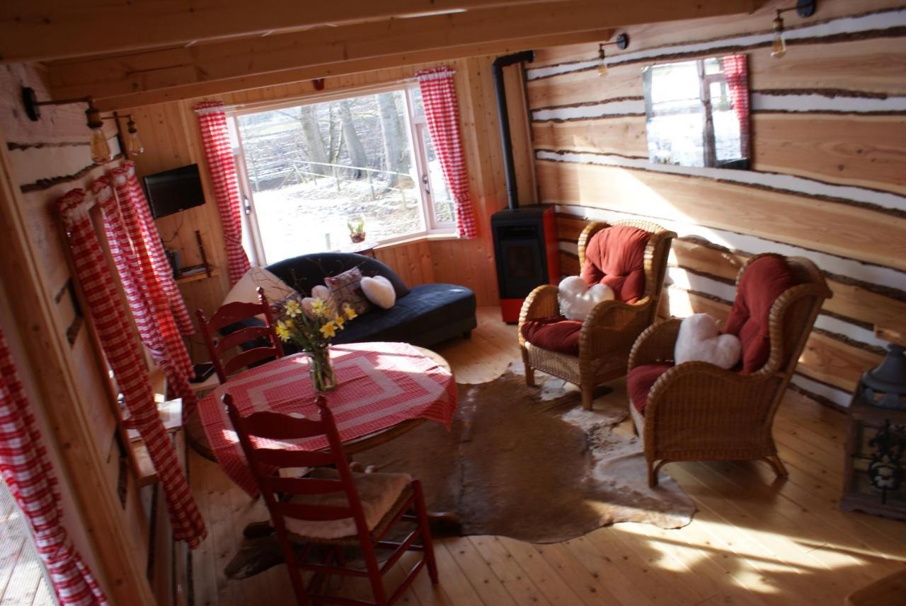 Tiny House Het Reebokje Διαμέρισμα Vriescheloo Εξωτερικό φωτογραφία