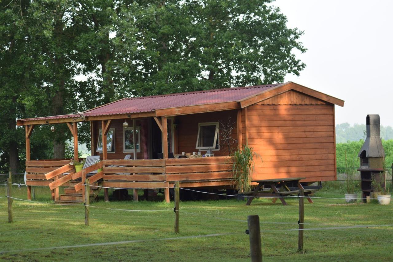 Tiny House Het Reebokje Διαμέρισμα Vriescheloo Εξωτερικό φωτογραφία