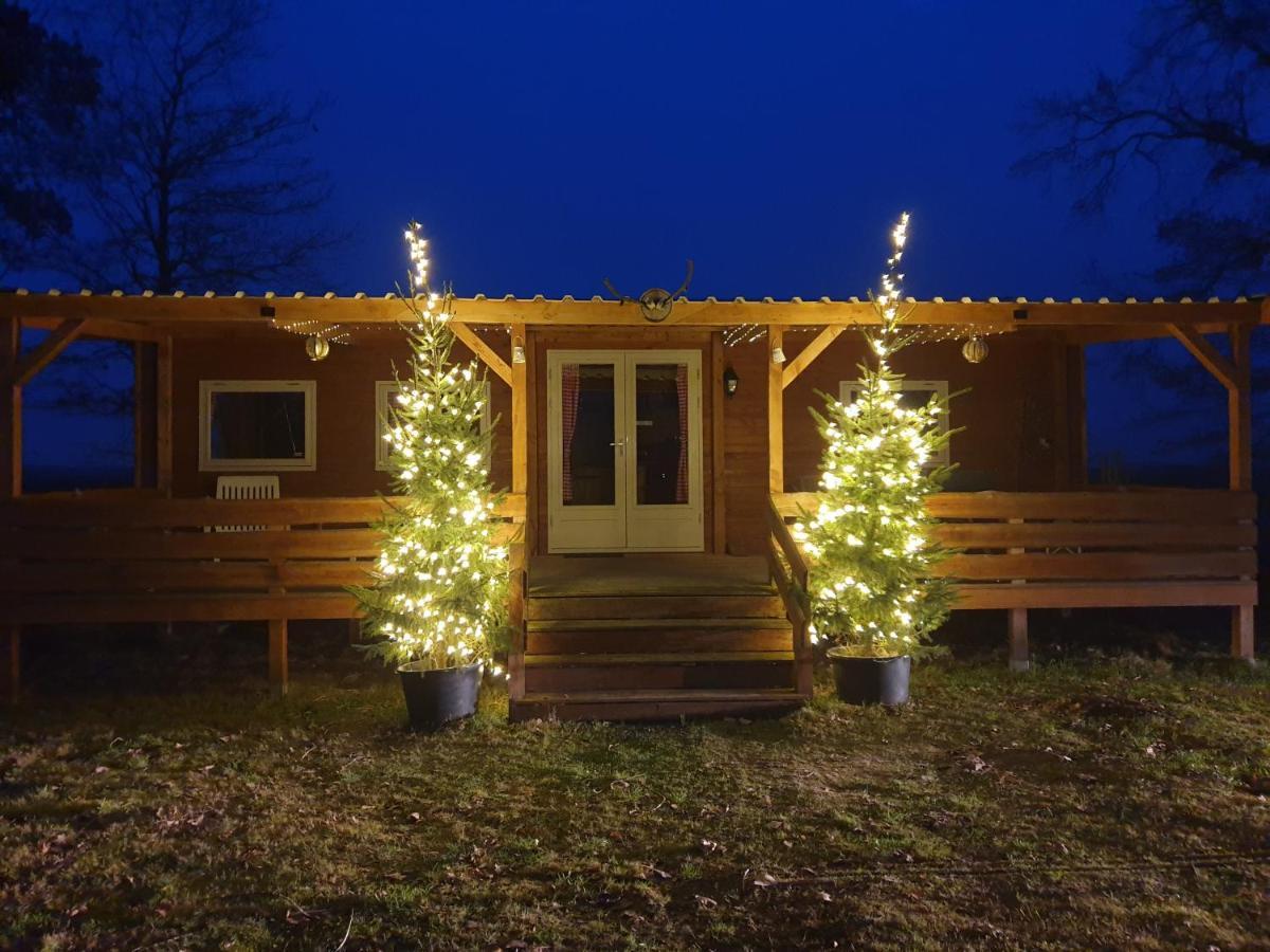 Tiny House Het Reebokje Διαμέρισμα Vriescheloo Εξωτερικό φωτογραφία