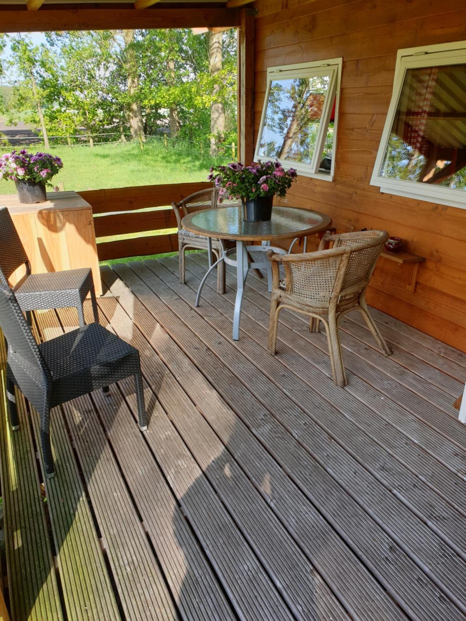 Tiny House Het Reebokje Διαμέρισμα Vriescheloo Εξωτερικό φωτογραφία